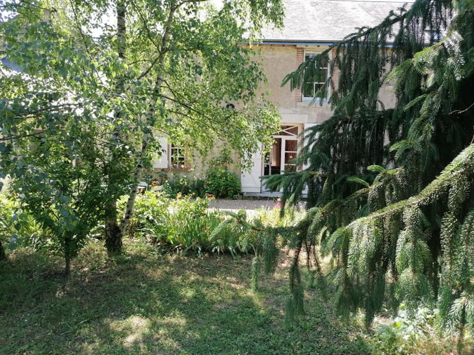 La Robiniere Maison D'Hotes モン・プレ・シャンボール エクステリア 写真