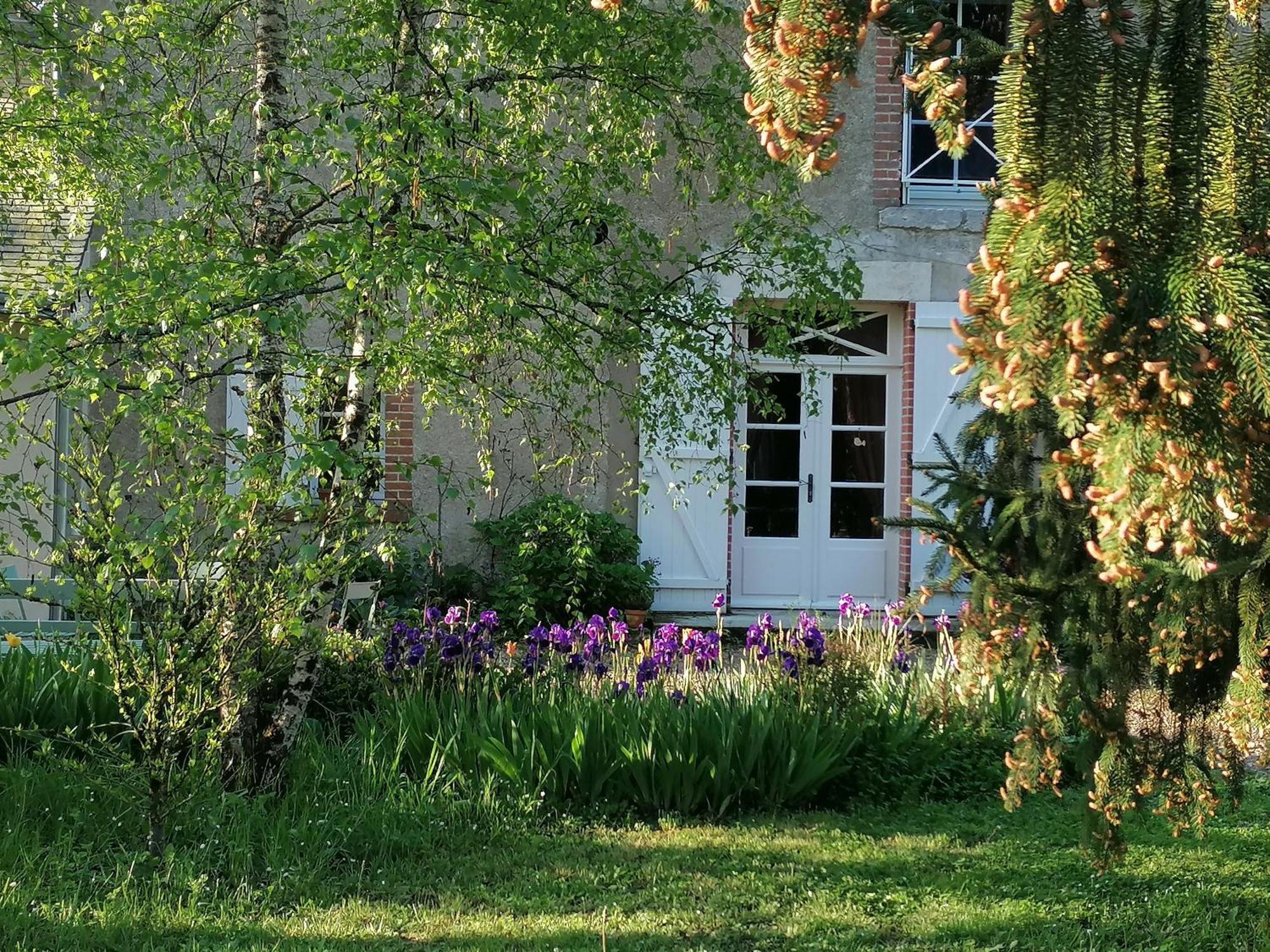 La Robiniere Maison D'Hotes モン・プレ・シャンボール エクステリア 写真